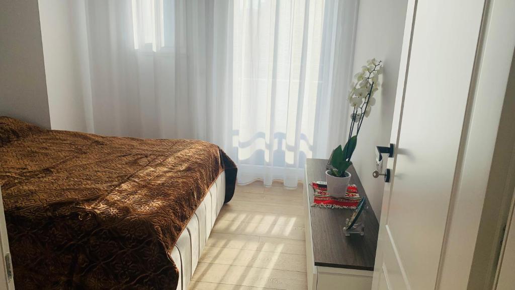 Proper Central Apartment - Image 7