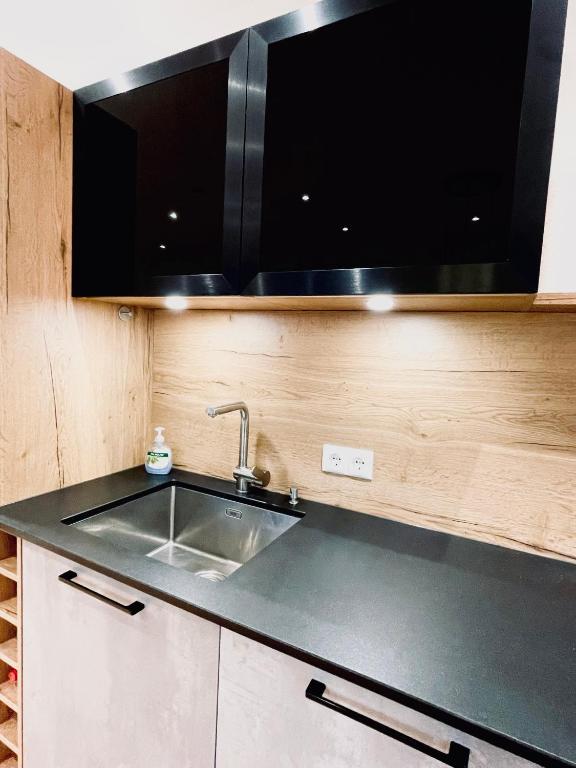 Kuchyňa alebo kuchynka v ubytovaní Royal Swan Appartement, Tirol