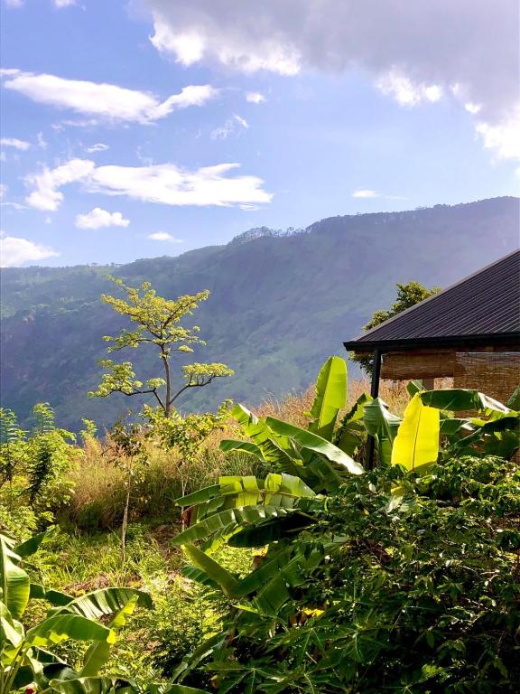 Nespecifikovaný výhled na hory nebo výhled na hory při pohledu z bed and breakfast