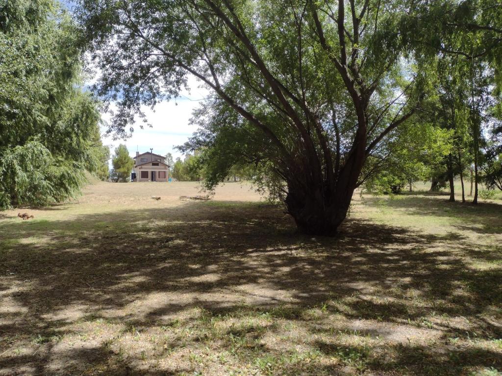 El jardín de los presentes