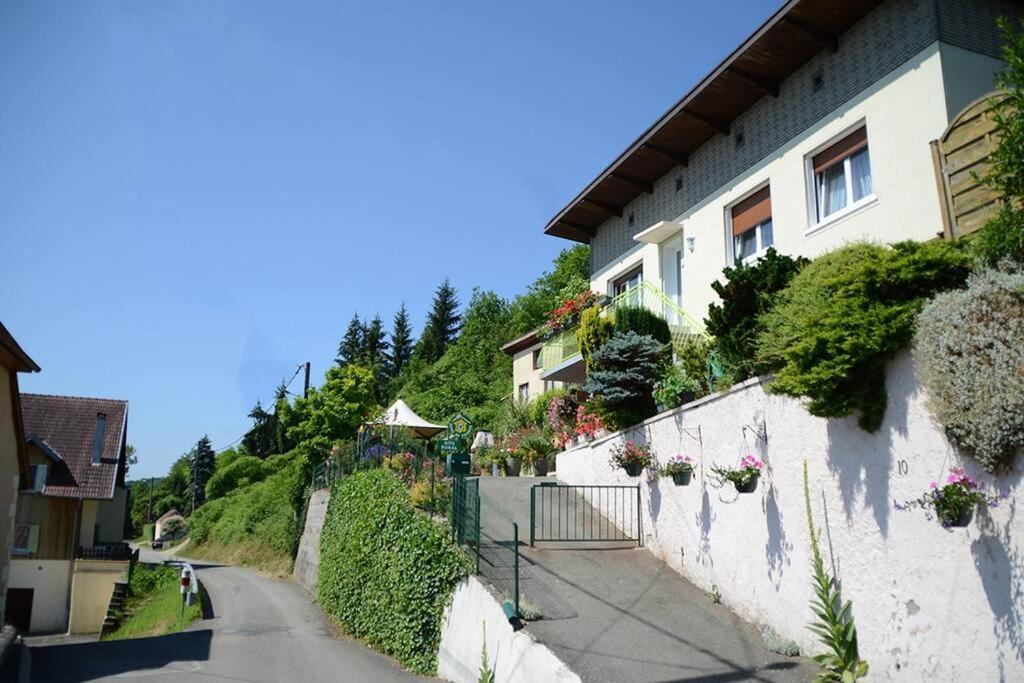 una casa en una colina al lado de una calle en GITE A LA CAMPAGNE, en Bourogne