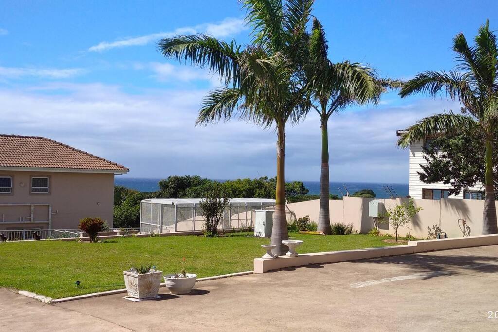 Three on Freefall, Elysium Updated 2022 Prices