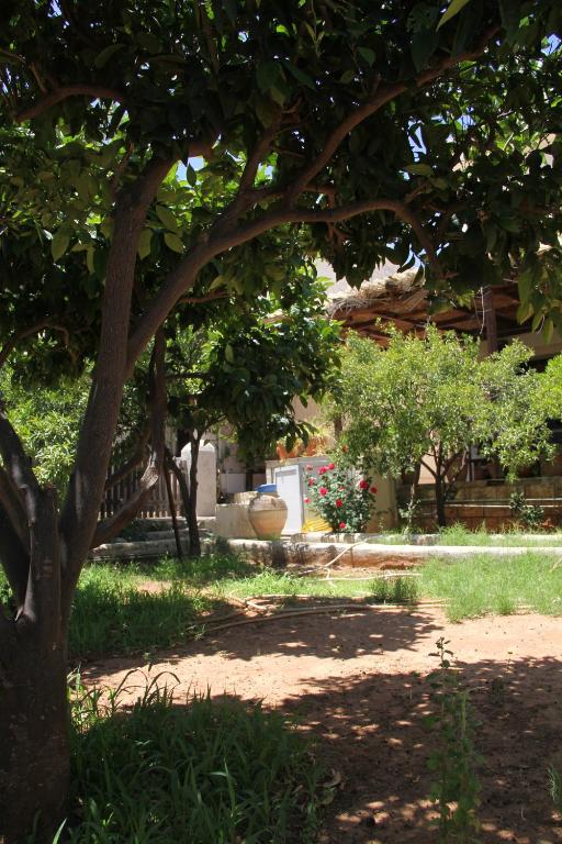 Zahrada ubytování Stalis Bay Villa