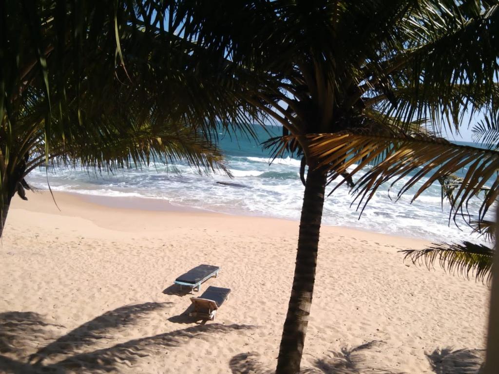 The Alpha Monkey hotel & Tree house - 12