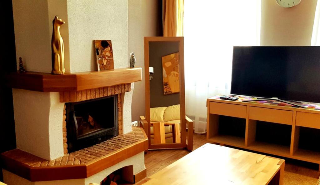 a living room with a fireplace and a television at Gustav House in Daugavpils