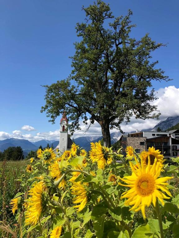 Fotografia z galérie ubytovania Haus Lukas v destinácii Seefeld in Tirol