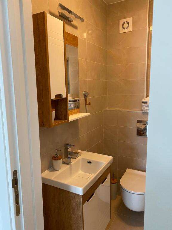 Koupelna v ubytování Apartman Anastasija Jezero