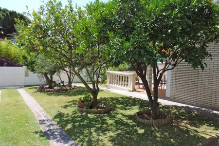 Homing Cambrils 23