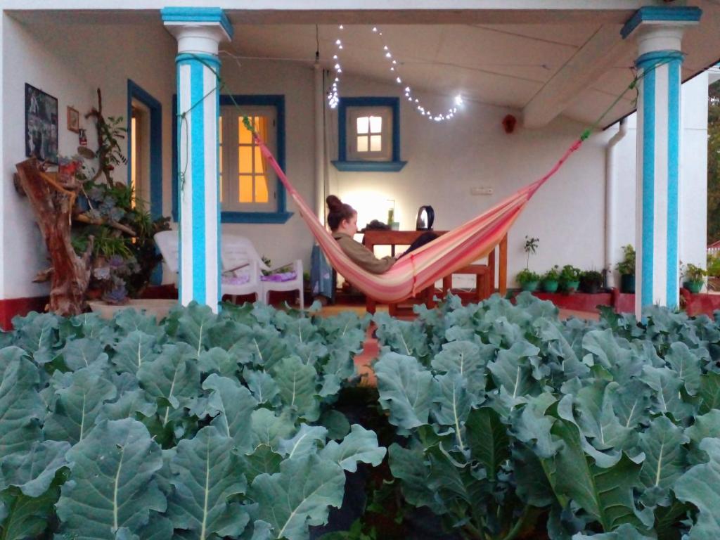 Zahrada ubytování Vibe way (Hostel & Market farm)
