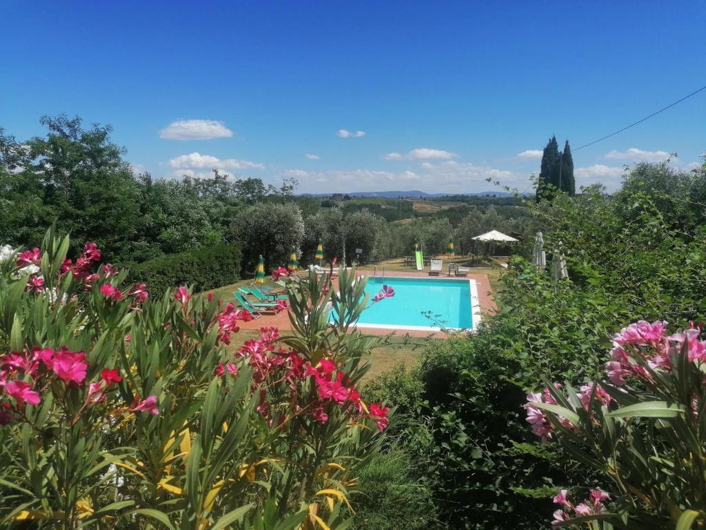 vistas a la piscina desde el jardín en Agriturismo Terre di Toscana en Terricciola