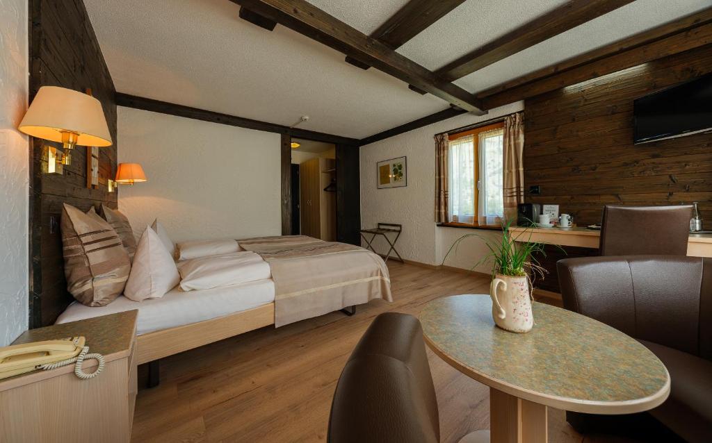 TV a/nebo společenská místnost v ubytování Relais Bayard