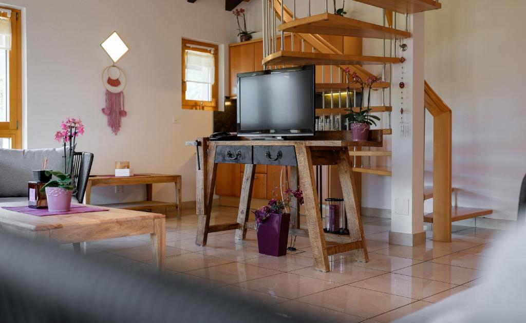 TV a/nebo společenská místnost v ubytování Relais Bayard