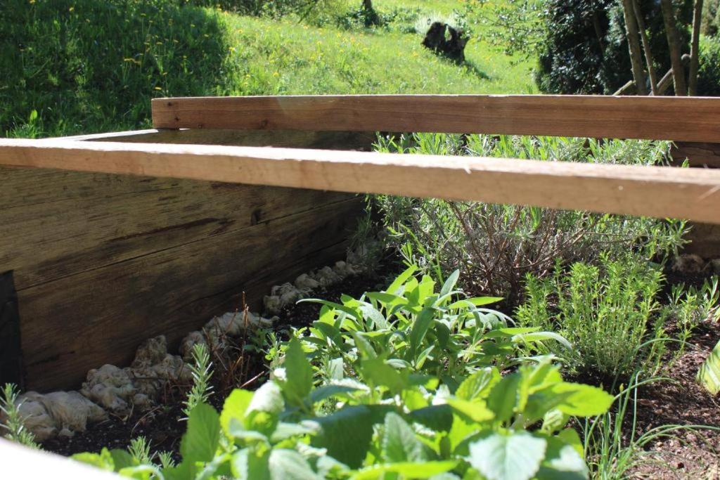 una valla de madera en un jardín con plantas en Ferienwohnung Staudacher, en Rohrdorf