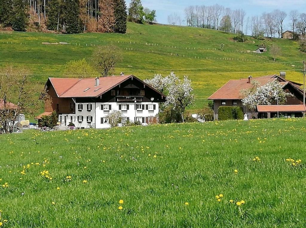 une grande maison blanche dans un champ d'herbe verte dans l'établissement Ferienwohnung Bergblick, à Gestratz