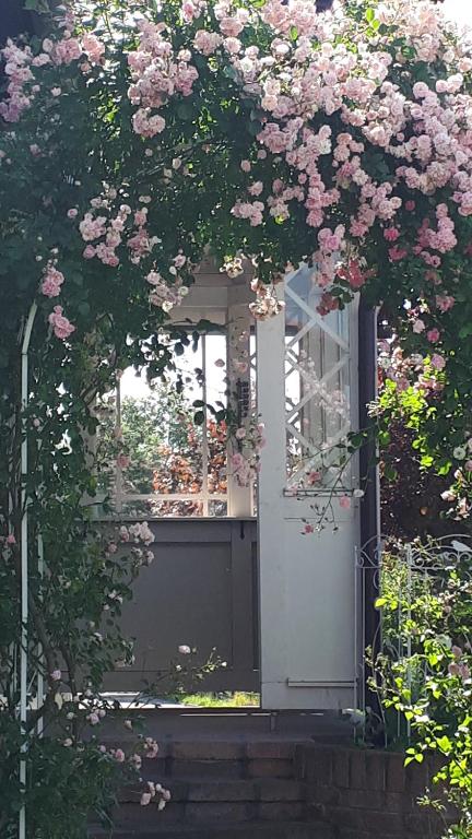 Κήπος έξω από το zum-Englaender