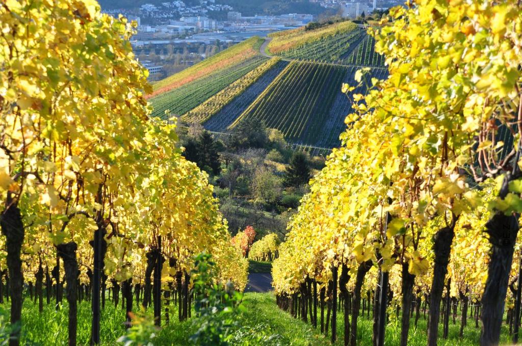 Gästehaus abz Stuttgart - Resim 11