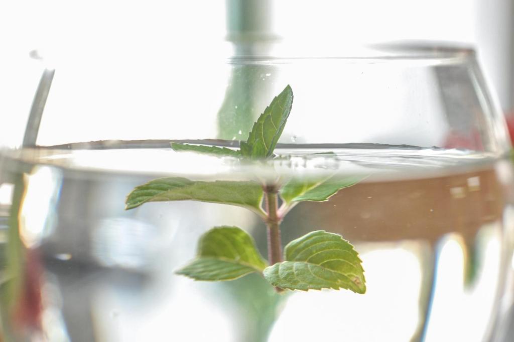 Gästehaus abz Stuttgart - Resim 21