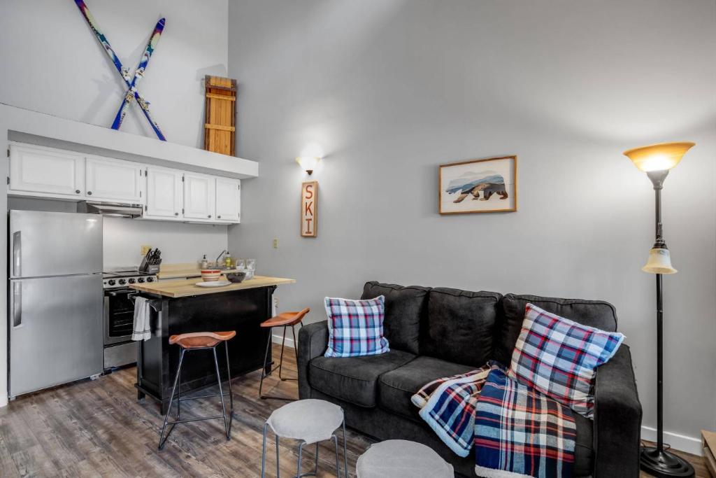 a living room with a couch and a kitchen at Loon Escape in Lincoln