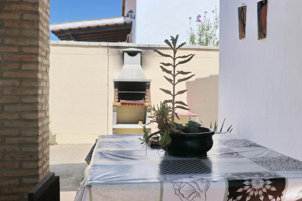 Fotografie z fotogalerie ubytování Chalet Chaparrillo Conil v destinaci Conil de la Frontera