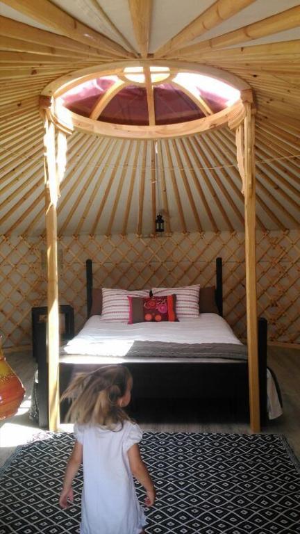 Campo de Reyes - Suite With Mountain View