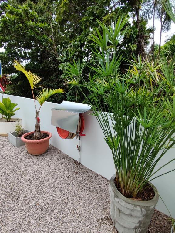 Zahrada ubytování 2-Bed Apt Sleeps 4 near Beau Vallon Beach