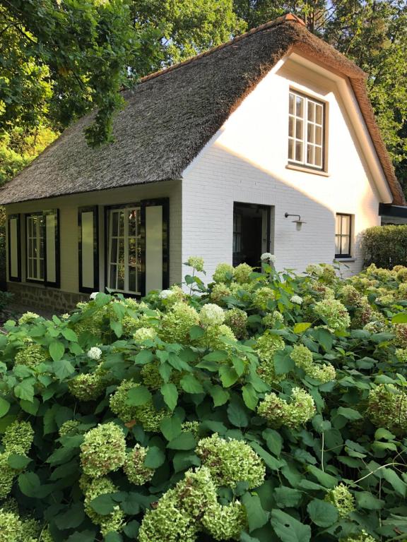 a house with a lot of green plants in front of it at Schilde Cottage in Schilde