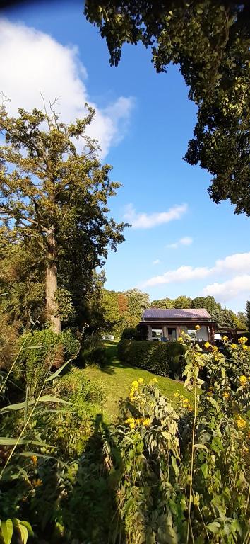 a garden with a tree and a house in the background at Bungalow Idylle Am See in Neuruppin