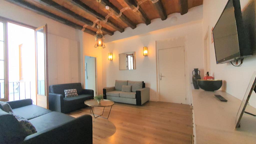 Televízia a/alebo spoločenská miestnosť v ubytovaní Barrio Gotico Apartments Ferran