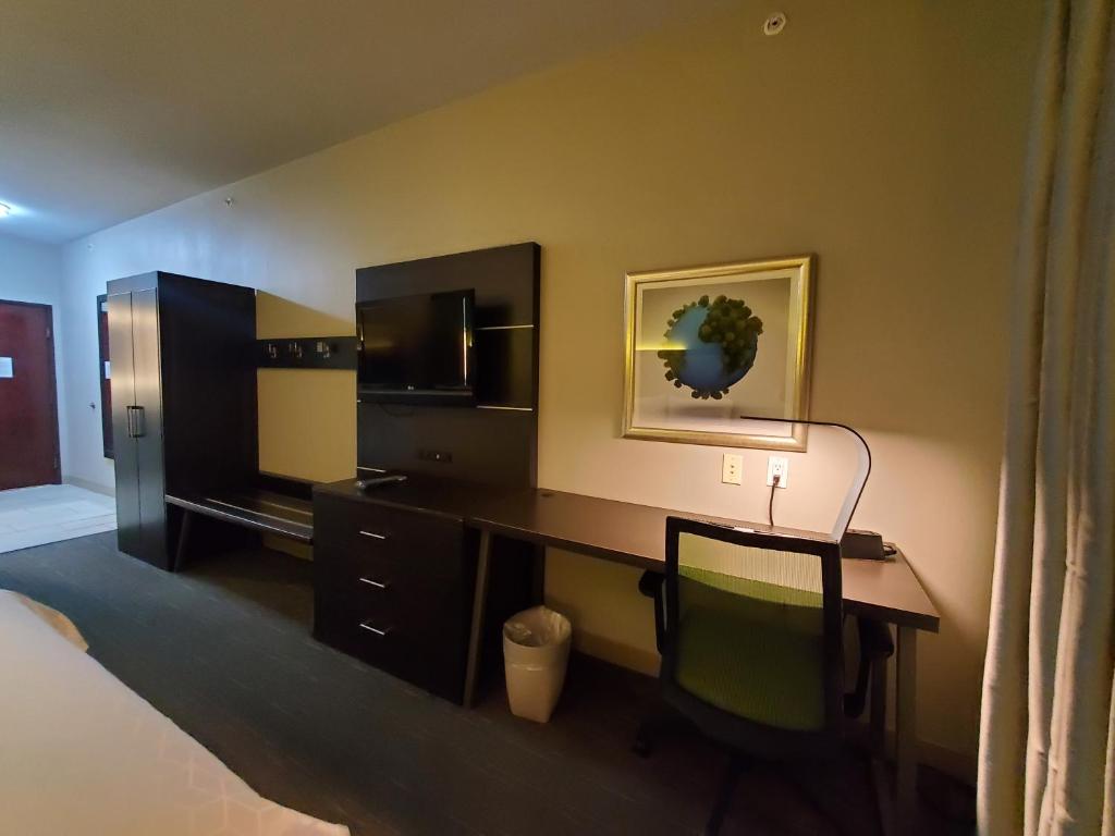 Holiday Inn Express Pearland by IHG - Standard King Room