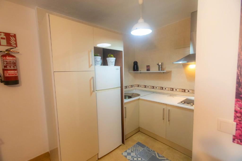 Kuchnia lub aneks kuchenny w obiekcie Casa de las Flores Cazorla