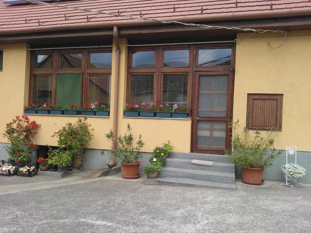 Exteriér nebo vchod ubytování Vogel Ági Vendégháza