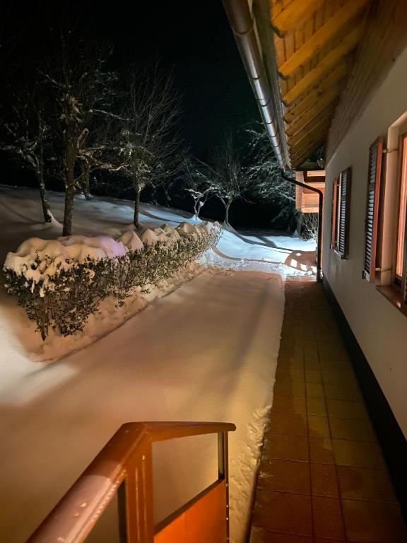 Holiday home Tihovo v zime