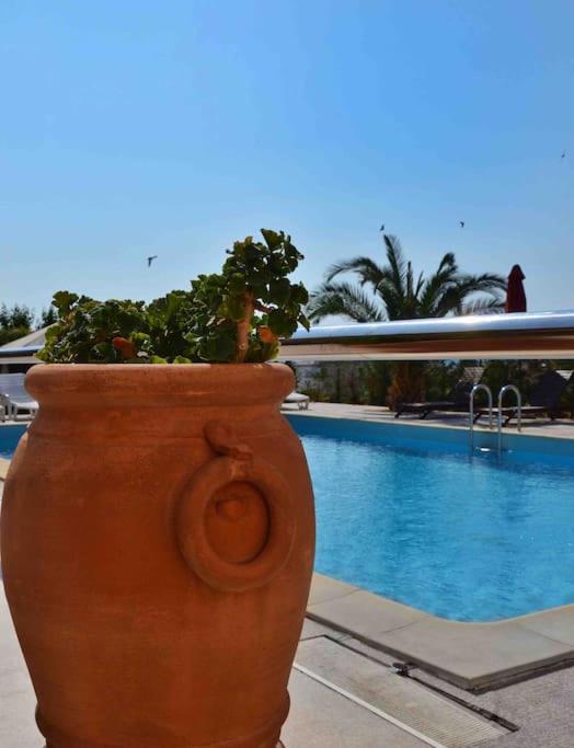 Bazén v ubytovaní Sea La Vie Holiday home with pool alebo v jeho blízkosti
