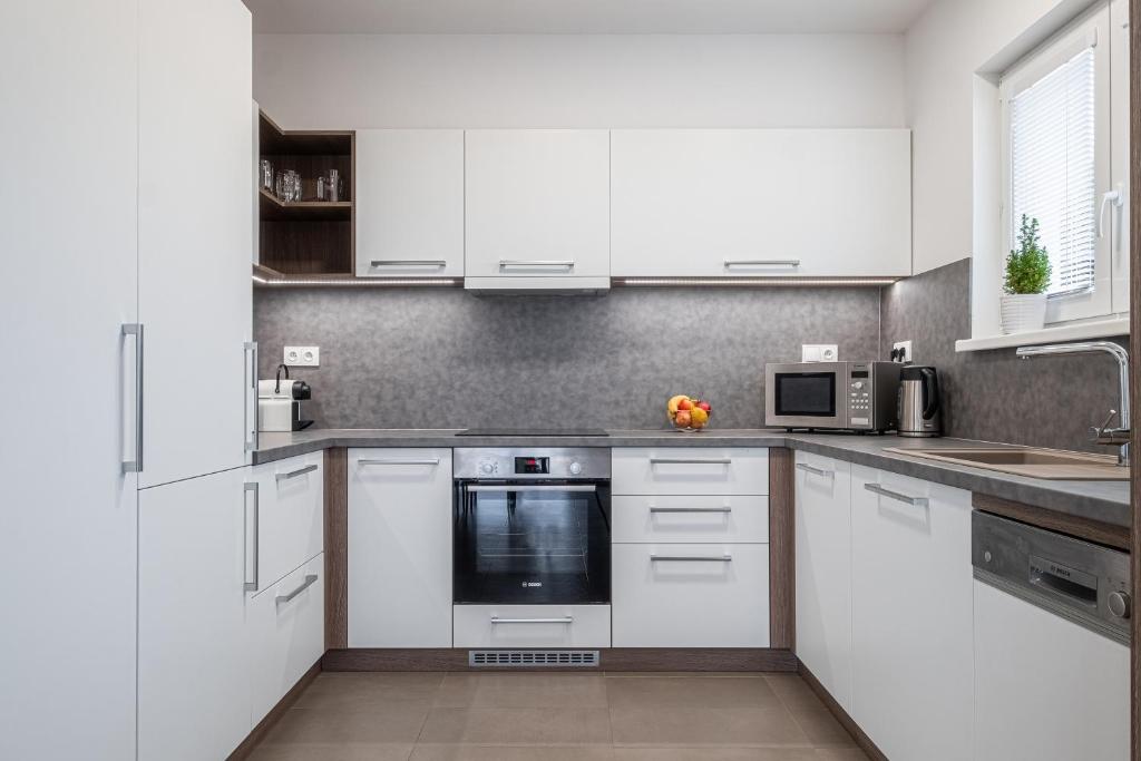 Kuchyň nebo kuchyňský kout v ubytování Apartmány ZaBukem