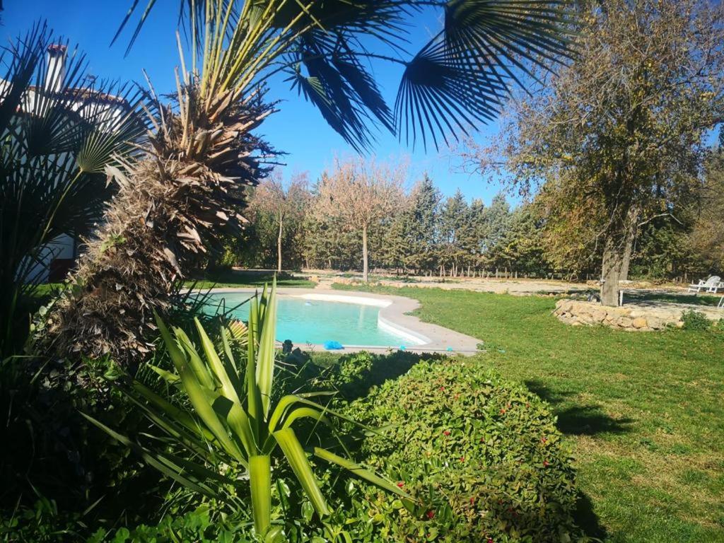 - une piscine dans un parc avec un palmier dans l'établissement Casa Rural Finca de las Encarnaciones Bajas, à Villanueva de San Juan