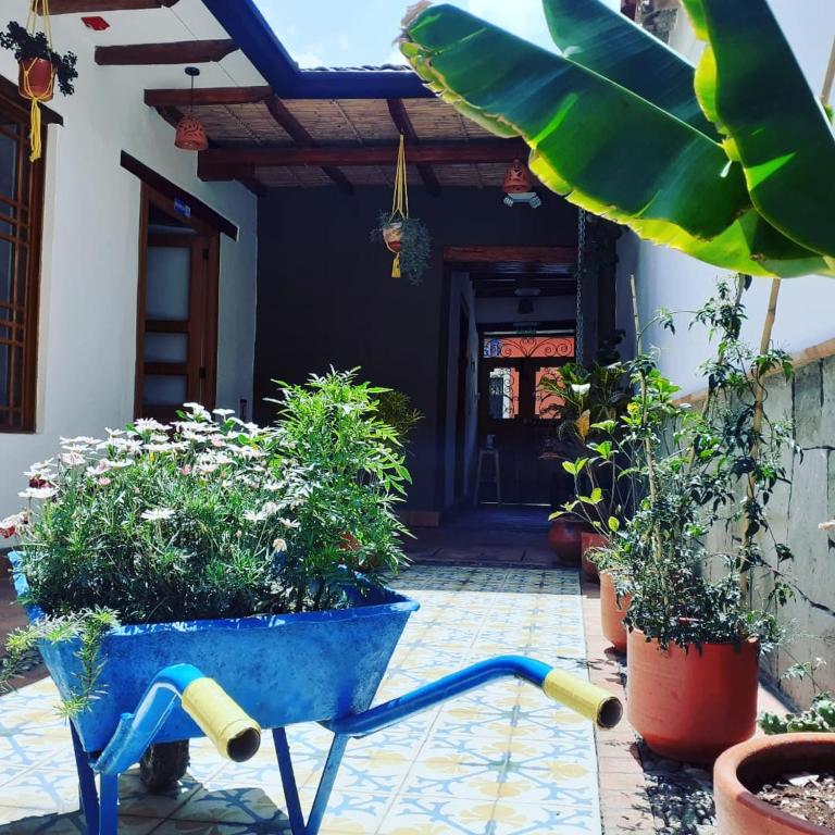 Zahrada ubytování Hostal Suite Le Fabrique