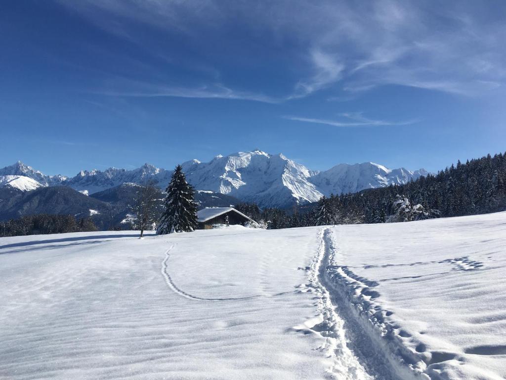 Chalet l'Aiglon