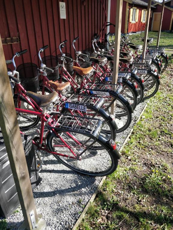 Jízda na kole v ubytování STF Hagaby/Lantgården Hostel nebo okolí