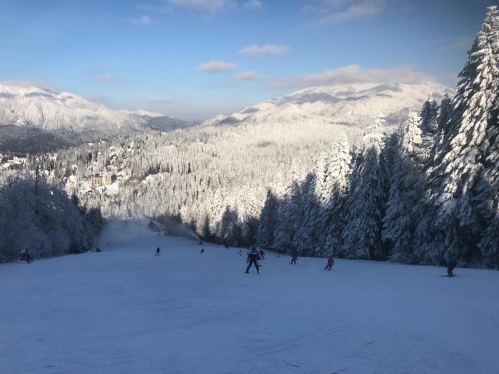 un grupo de personas esquiando por una montaña cubierta de nieve en Spa-ul Schiorilor, en Predeal