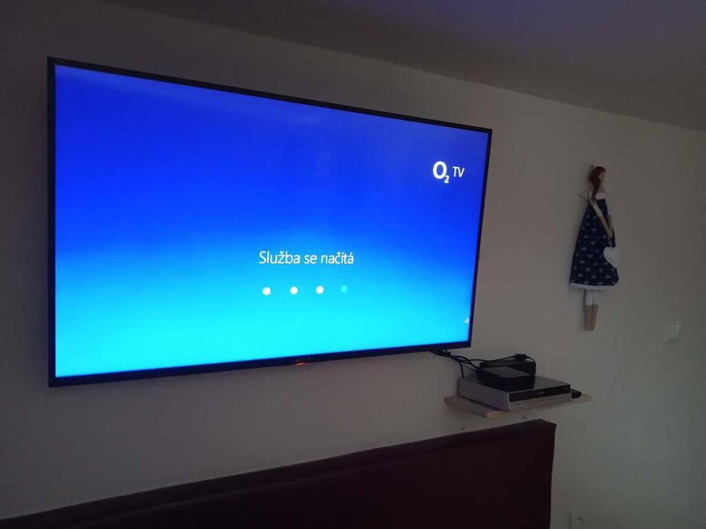 TV a/nebo společenská místnost v ubytování Chalupa U Šindelářů - Velké Karlovice