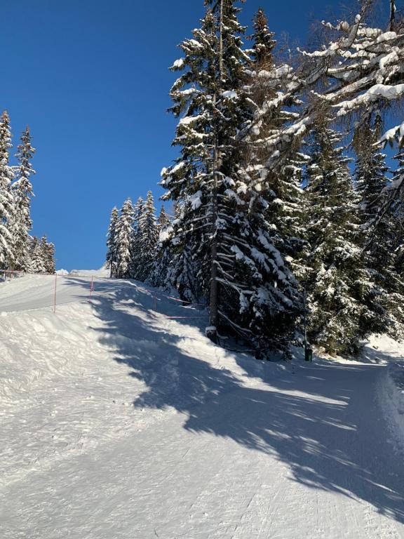 Apartmán Lesníček during the winter