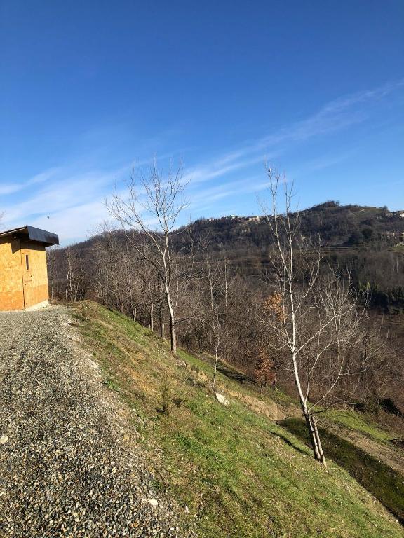 Príroda v okolí of the country house