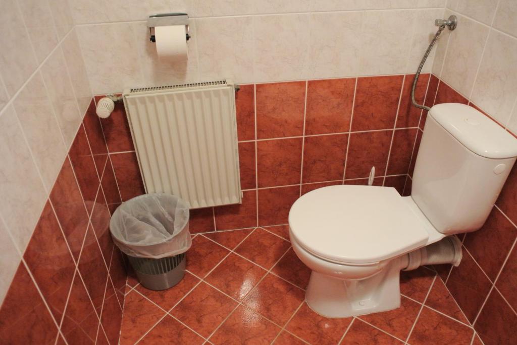 Koupelna v ubytování Penzion Haus Regrus