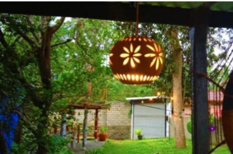 Zahrada ubytování Tharurashmi Sea Pond villa & Surf Hostel - Hiriketiya