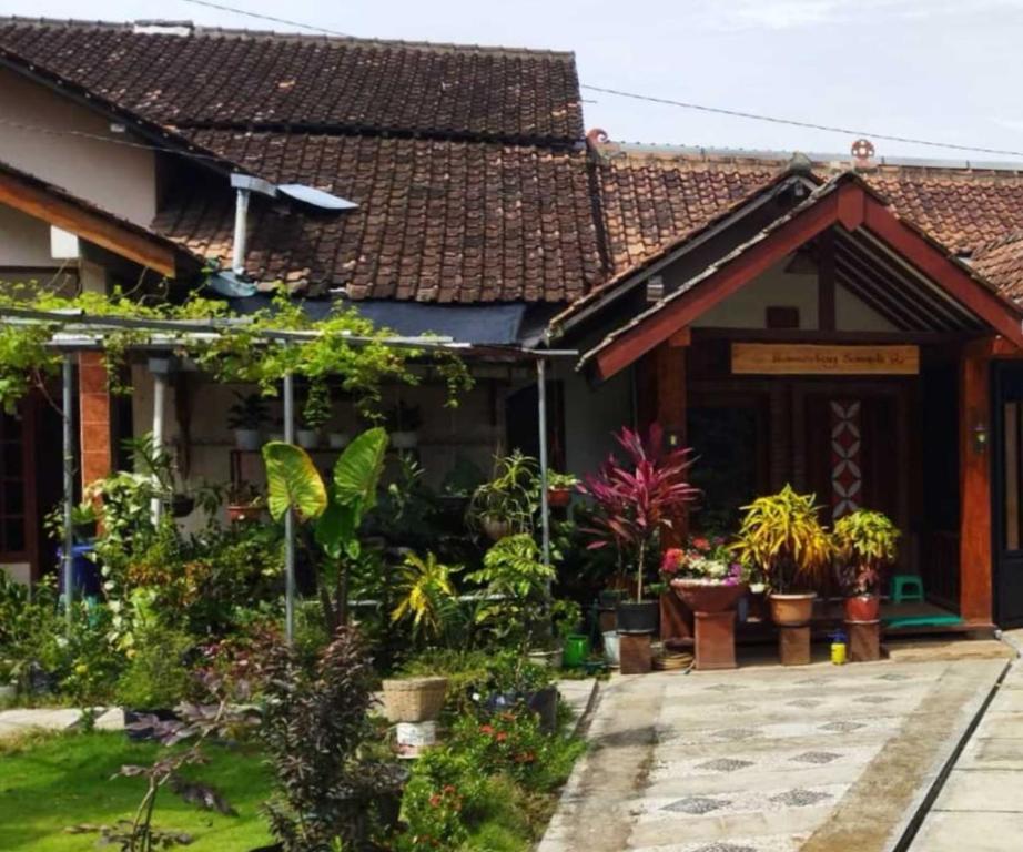 ein Haus mit vielen Pflanzen davor in der Unterkunft Borobudur Cluster Homestay Candirejo Syariah in Tanayung