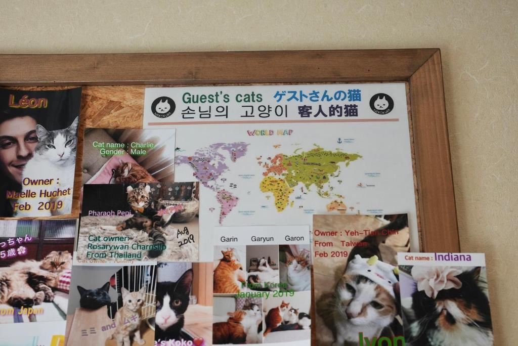 Certifikát, hodnocení, plakát nebo jiný dokument vystavený v ubytování Nekokura Hostel