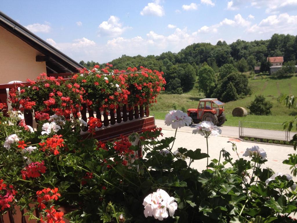 Vonkajšia záhrada v ubytovaní Guesthouse Ante Hodak