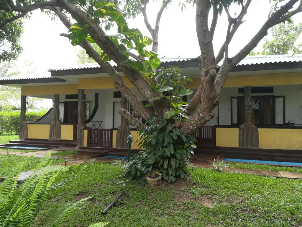 a yellow house with a tree in front of it at Budget Rooms with the pool at The Hideout Sigiriya in Bellanoya