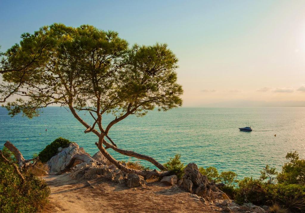 Fotografia z galérie ubytovania Mediterranean Way - Promar v destinácii La Pineda