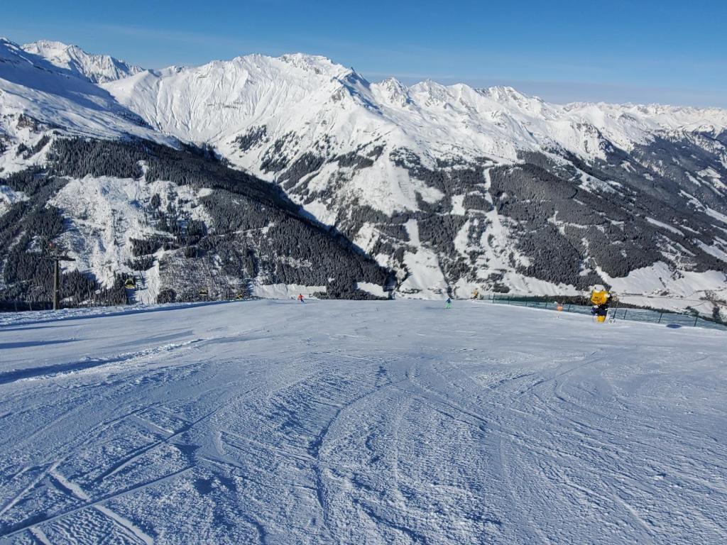 Appartement Alpenkönig v zime